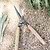 Hawkesbury Shears