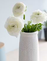 Ravello Bottle Vase White