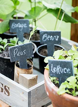 Classic Slate Greenhouse Tags with Chalk Set of 6
