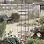 Charlbury Obelisk Plant Support Large Black