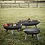 Foscot Fire Pit Medium