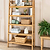 Ashwell Shelving Unit Natural