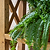 Oxhill Console Table Natural