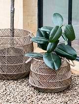 Hinton Woven Basket Set of 2