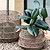 Hinton Woven Basket Set of 2