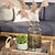 Bayford Woven Tray Set of 2 Natural