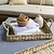 Bayford Woven Tray Set of 2 Natural