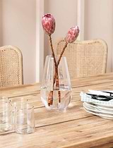 Marshfield Rounded Vase Tall Clear