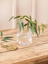 Marshfield Rounded Vase Small Clear