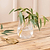 Marshfield Rounded Vase Small Clear