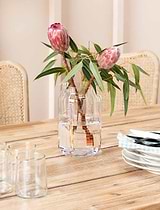 Marshfield Vase Clear