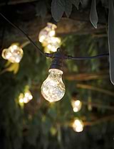 Festoon Lights Classic 20 Bulbs