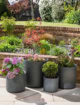 Holbeton Round Planters Set of 4 Antique Green