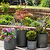 Holbeton Round Planters Set of 4 Antique Green