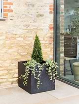 Bardwell Square Planter 55 cm Black
