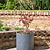 Holbeton Round Planter 50 cm Grey