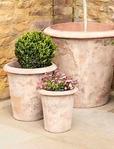 Orchard Planter 25 cm Terracotta