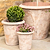 Orchard Planter 25 cm Terracotta