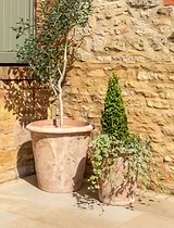 Orchard Planter 45 cm Terracotta