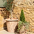 Orchard Planter 45 cm Terracotta