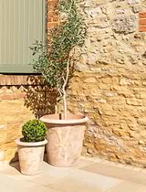 Orchard Planter 54 cm Terracotta