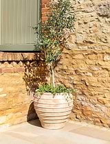 Otterton Planter 50.5 cm Terracotta