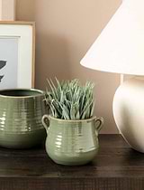 Mills Pot 14cm Rosemary