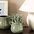 Mills Pot 14cm Rosemary