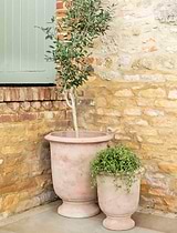 Ubley Planter 64.5 cm Terracotta