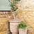 Ubley Planter 64.5 cm Terracotta