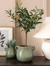 Mills Pot 20cm Rosemary