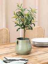 Mills Pot 22cm Rosemary