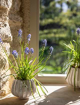 Osmington Pot 14cm White