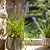 Osmington Pot 18cm White