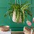 Bramdean Hanging Plant Pot