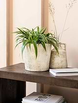 Radstock Pot 23cm Stone