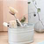 Original Wash Up Tidy Small Clay