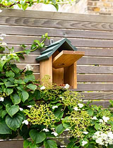 Littleworth Bird House Olive Green Pine Wood