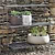 Barrington Plant Stand
