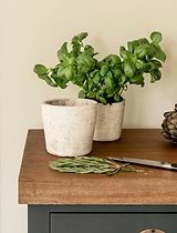 Radstock Pot 15cm Stone