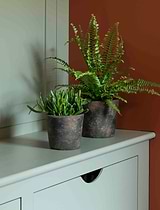 Radstock Pot 12cm Antique Brown