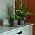 Radstock Pot 12cm Antique Brown