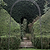 Barrington Rose Arch