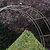 Barrington Rose Arch