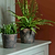 Radstock Pot 15cm Antique Brown