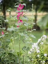 Barrington Spiral Plant Support