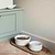 Toppesfield Pet Bowl White