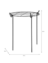 Charlbury Grow Through Plant Support Large