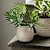 Winkleigh Pot 12cm White