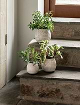 Winkleigh Pot 12cm White